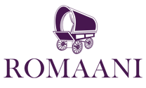 Romaani